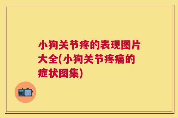 小狗关节疼的表现图片大全(小狗关节疼痛的症状图集)