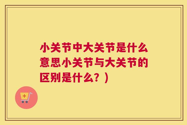 小关节中大关节是什么意思小关节与大关节的区别是什么？)