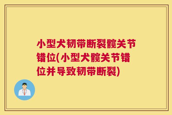 小型犬韧带断裂髋关节错位(小型犬髋关节错位并导致韧带断裂)