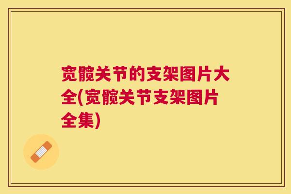 宽髋关节的支架图片大全(宽髋关节支架图片全集)