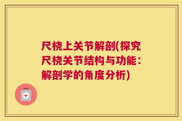 尺桡上关节解剖(探究尺桡关节结构与功能：解剖学的角度分析)