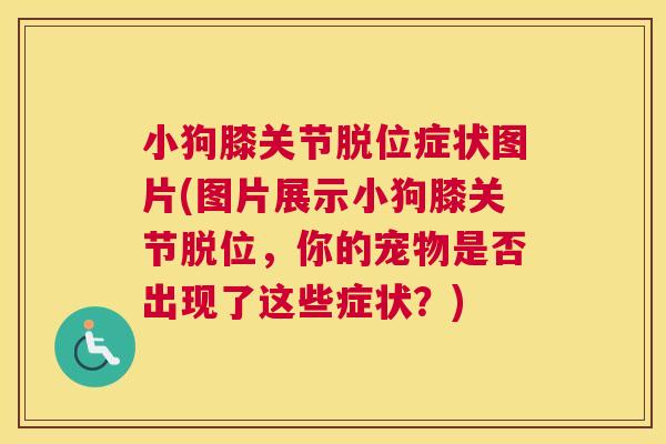 小狗膝关节脱位症状图片(图片展示小狗膝关节脱位，你的宠物是否出现了这些症状？)