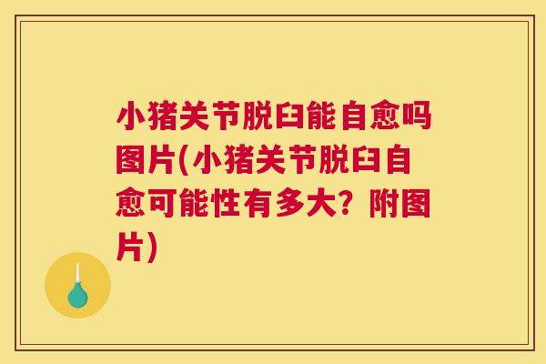 小猪关节脱臼能自愈吗图片(小猪关节脱臼自愈可能性有多大？附图片)