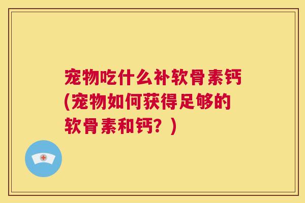 宠物吃什么补软骨素钙(宠物如何获得足够的软骨素和钙？)