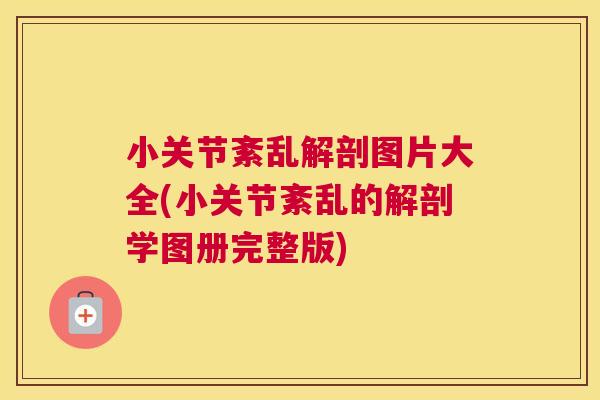 小关节紊乱解剖图片大全(小关节紊乱的解剖学图册完整版)