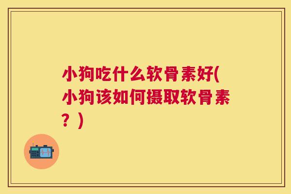 小狗吃什么软骨素好(小狗该如何摄取软骨素？)