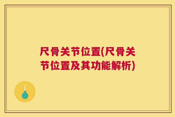 尺骨关节位置(尺骨关节位置及其功能解析)