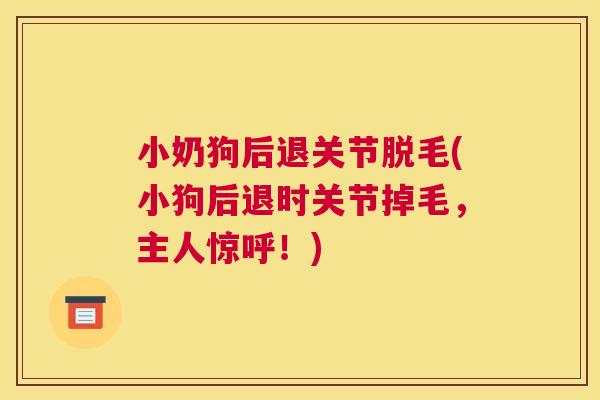 小奶狗后退关节脱毛(小狗后退时关节掉毛，主人惊呼！)