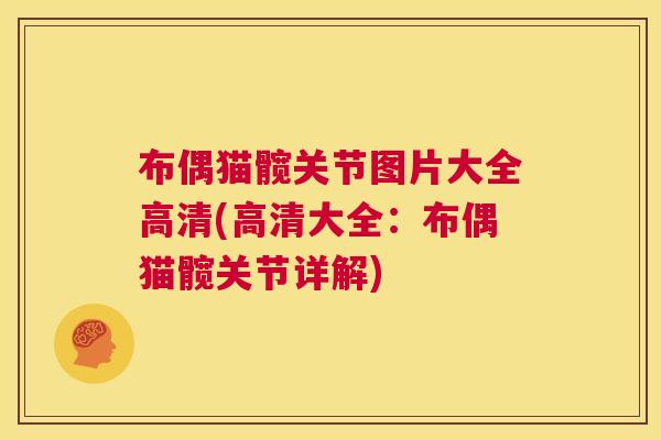 布偶猫髋关节图片大全高清(高清大全：布偶猫髋关节详解)