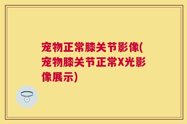 宠物正常膝关节影像(宠物膝关节正常X光影像展示)