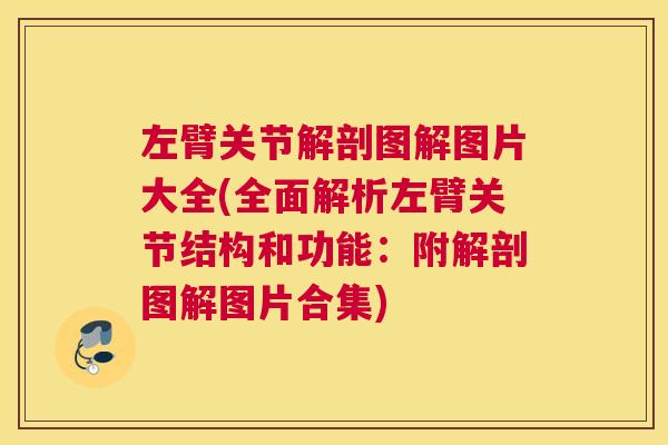 左臂关节解剖图解图片大全(全面解析左臂关节结构和功能：附解剖图解图片合集)
