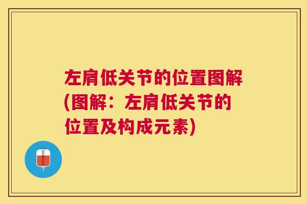 左肩低关节的位置图解(图解：左肩低关节的位置及构成元素)