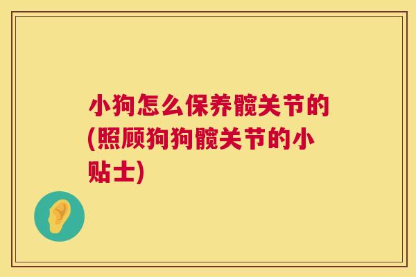小狗怎么保养髋关节的(照顾狗狗髋关节的小贴士)