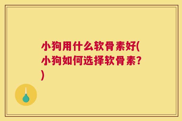 小狗用什么软骨素好(小狗如何选择软骨素？)