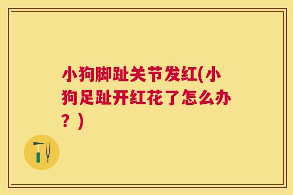 小狗脚趾关节发红(小狗足趾开红花了怎么办？)