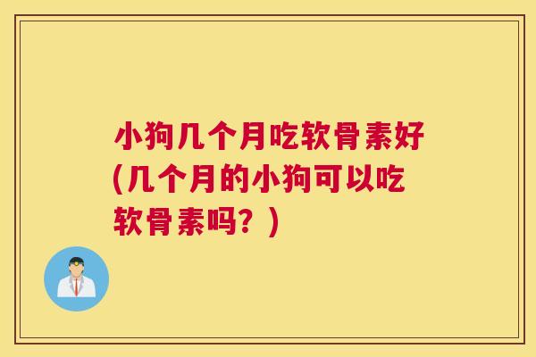 小狗几个月吃软骨素好(几个月的小狗可以吃软骨素吗？)