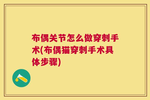 布偶关节怎么做穿刺手术(布偶猫穿刺手术具体步骤)