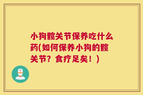 小狗髋关节保养吃什么药(如何保养小狗的髋关节？食疗足矣！)