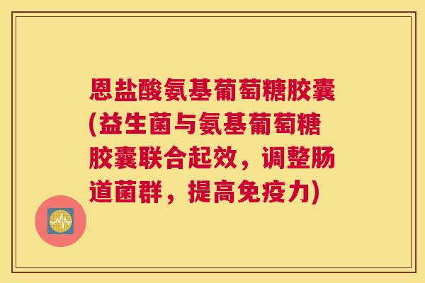 恩盐酸氨基葡萄糖胶囊(益生菌与氨基葡萄糖胶囊联合起效，调整肠道菌群，提高免疫力)