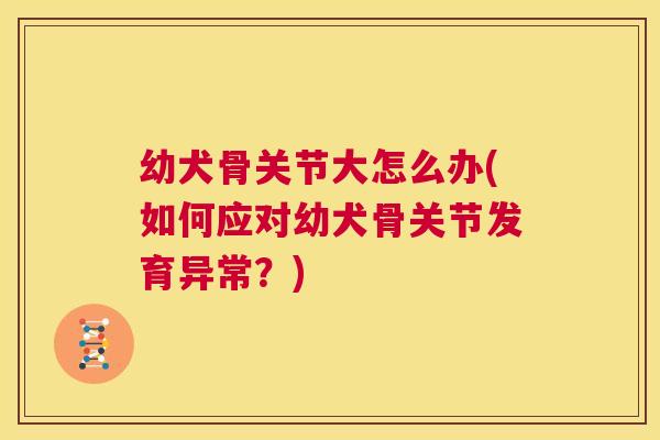 幼犬骨关节大怎么办(如何应对幼犬骨关节发育异常？)