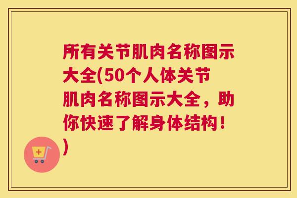 所有关节肌肉名称图示大全(50个人体关节肌肉名称图示大全，助你快速了解身体结构！)