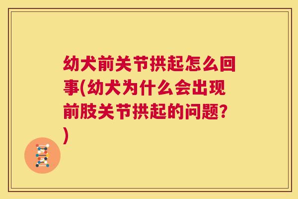 幼犬前关节拱起怎么回事(幼犬为什么会出现前肢关节拱起的问题？)