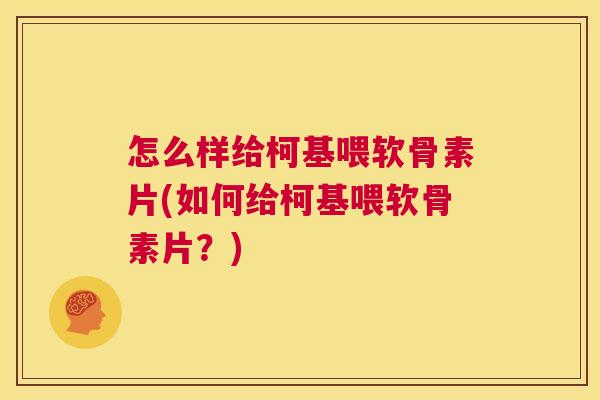 怎么样给柯基喂软骨素片(如何给柯基喂软骨素片？)