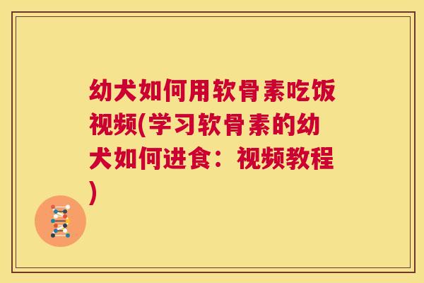幼犬如何用软骨素吃饭视频(学习软骨素的幼犬如何进食：视频教程)