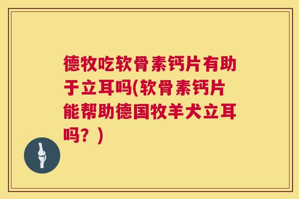 德牧吃软骨素钙片有助于立耳吗(软骨素钙片能帮助德国牧羊犬立耳吗？)