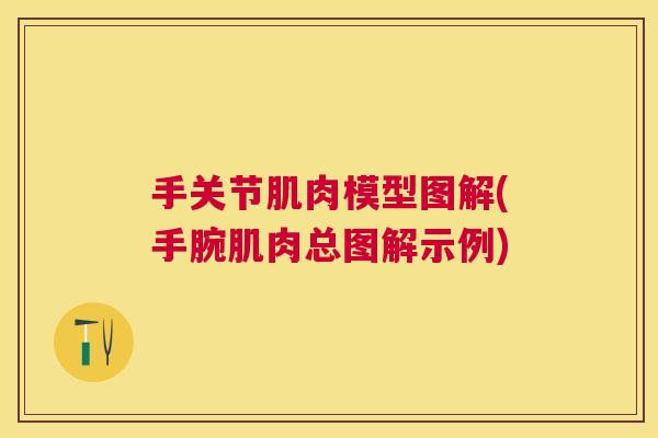 手关节肌肉模型图解(手腕肌肉总图解示例)