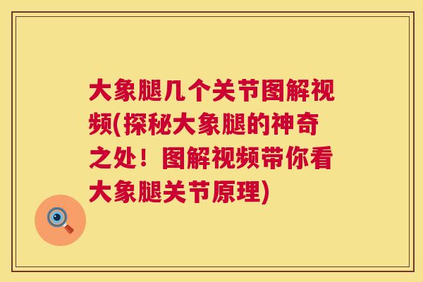 大象腿几个关节图解视频(探秘大象腿的神奇之处！图解视频带你看大象腿关节原理)
