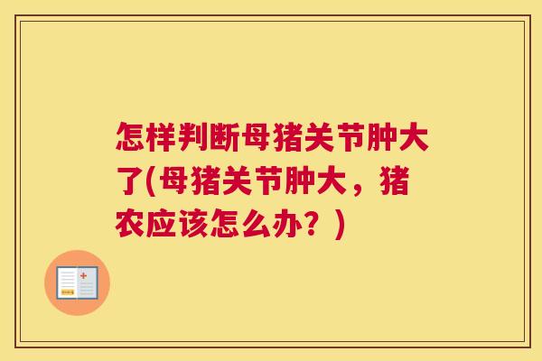 怎样判断母猪关节肿大了(母猪关节肿大,猪农应该怎么办?) 怎样判断母猪关节肿大了(母猪关节肿大,猪农应该怎么办?)