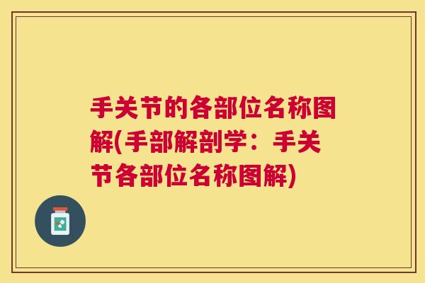 手关节的各部位名称图解(手部解剖学：手关节各部位名称图解)