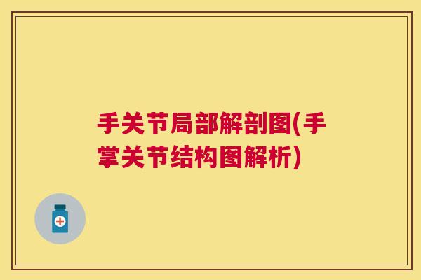 手关节局部解剖图(手掌关节结构图解析)