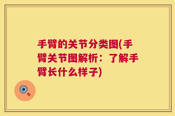 手臂的关节分类图(手臂关节图解析：了解手臂长什么样子)