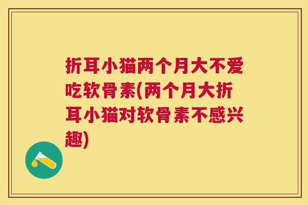 折耳小猫两个月大不爱吃软骨素(两个月大折耳小猫对软骨素不感兴趣)