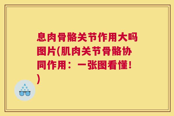 息肉骨骼关节作用大吗图片(肌肉关节骨骼协同作用：一张图看懂！)