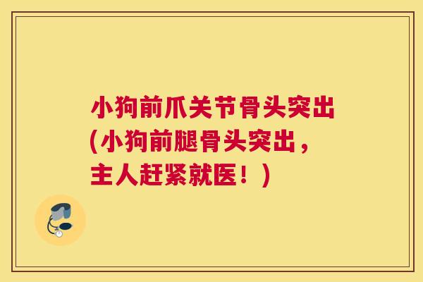 小狗前爪关节骨头突出(小狗前腿骨头突出，主人赶紧就医！)