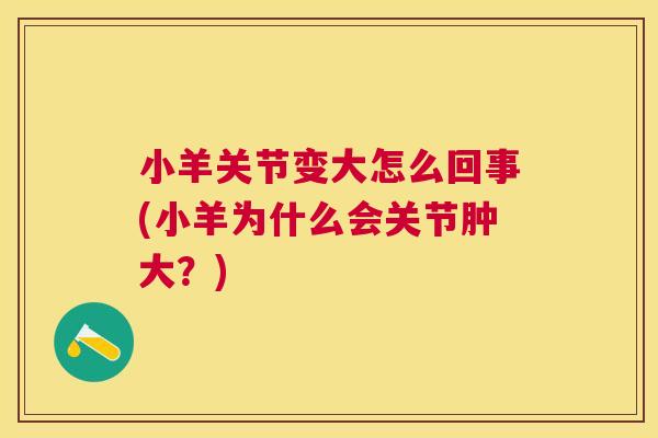 小羊关节变大怎么回事(小羊为什么会关节肿大?) 小羊关节变大怎么回事(小羊为什么会关节肿大?)