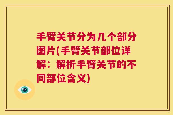 手臂关节分为几个部分图片(手臂关节部位详解：解析手臂关节的不同部位含义)