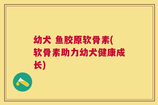 幼犬 鱼胶原软骨素(软骨素助力幼犬健康成长)