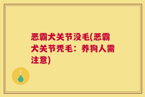 恶霸犬关节没毛(恶霸犬关节秃毛：养狗人需注意)