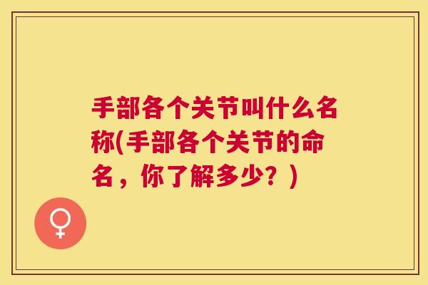 手部各个关节叫什么名称(手部各个关节的命名，你了解多少？)