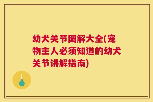 幼犬关节图解大全(宠物主人必须知道的幼犬关节讲解指南)