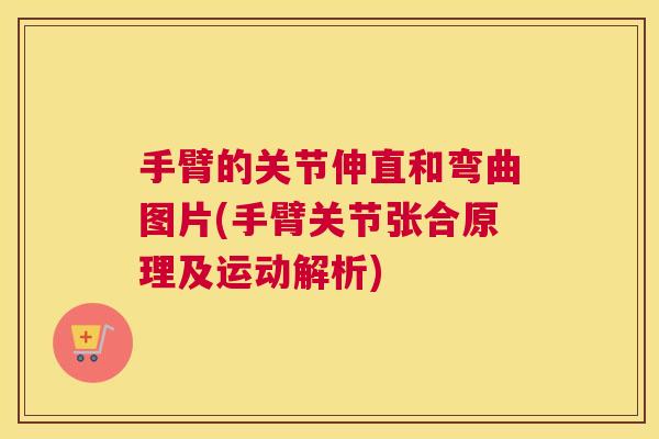 手臂的关节伸直和弯曲图片(手臂关节张合原理及运动解析)