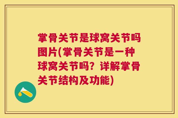 掌骨关节是球窝关节吗图片(掌骨关节是一种球窝关节吗？详解掌骨关节结构及功能)