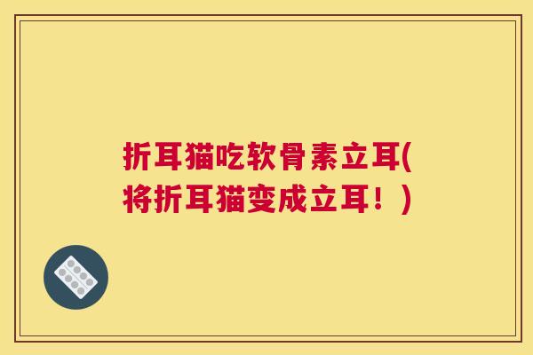 折耳猫吃软骨素立耳(将折耳猫变成立耳！)