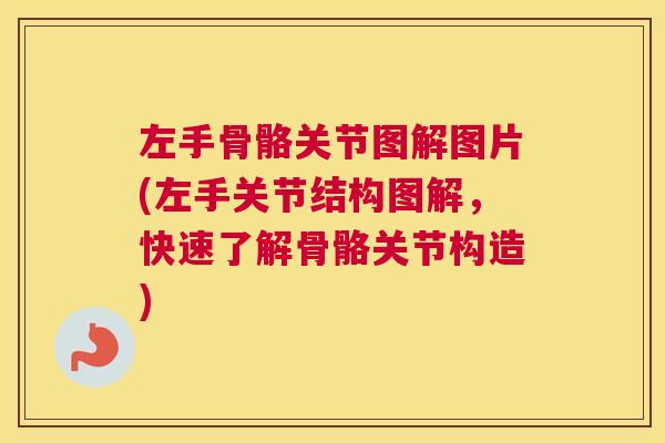 左手骨骼关节图解图片(左手关节结构图解，快速了解骨骼关节构造)