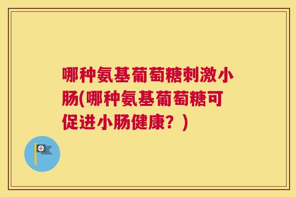 哪种氨基葡萄糖刺激小肠(哪种氨基葡萄糖可促进小肠健康？)