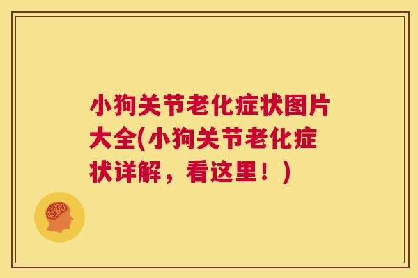 小狗关节老化症状图片大全(小狗关节老化症状详解,看这里!) 小狗关节老化症状图片大全(小狗关节老化症状详解,看这里!)